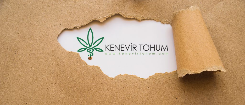 Kenevir Kağıdı